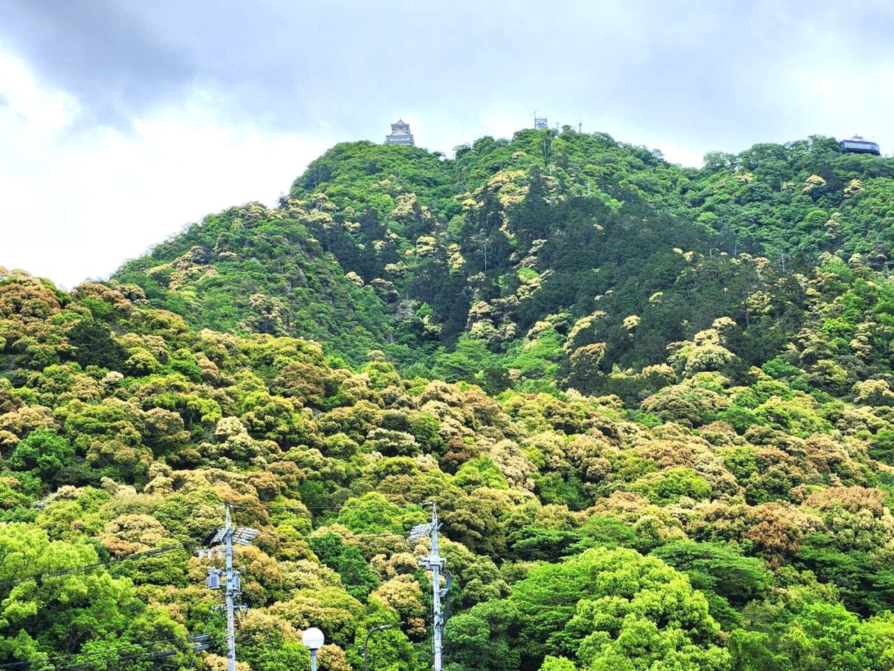 金華山