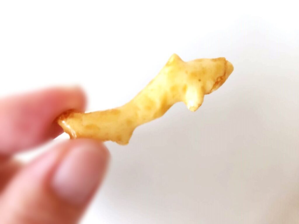 まるこう