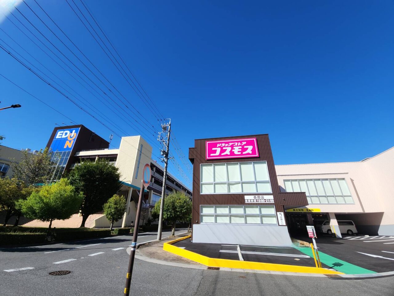 コスモス