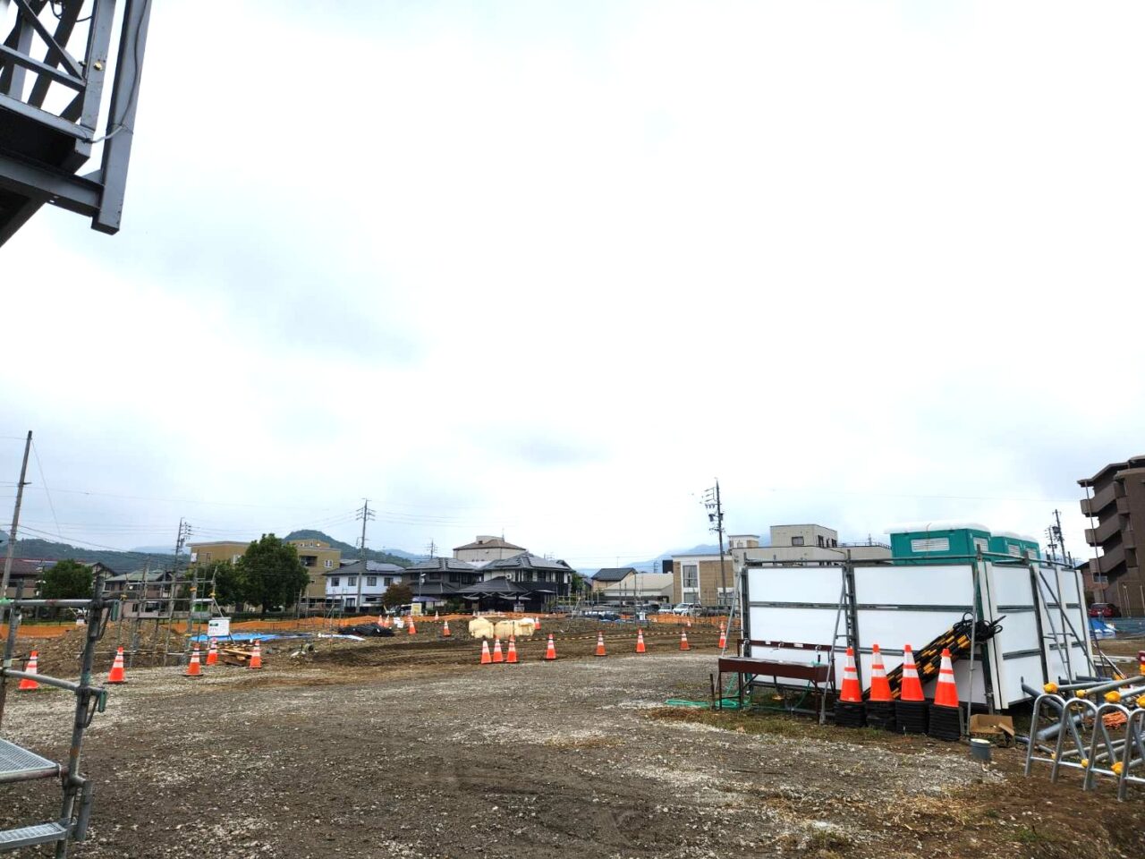 コスモス