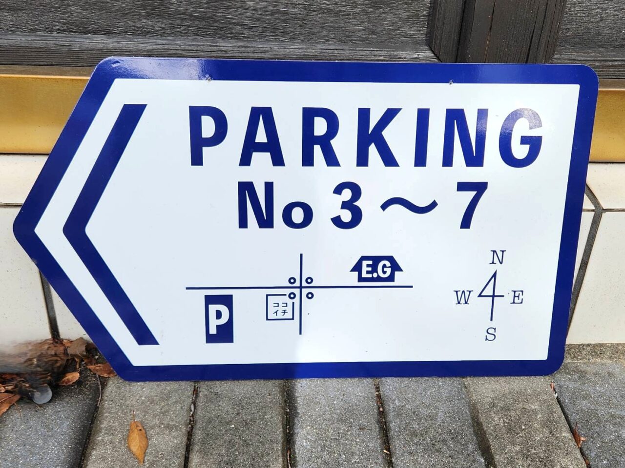 エバーグリーン