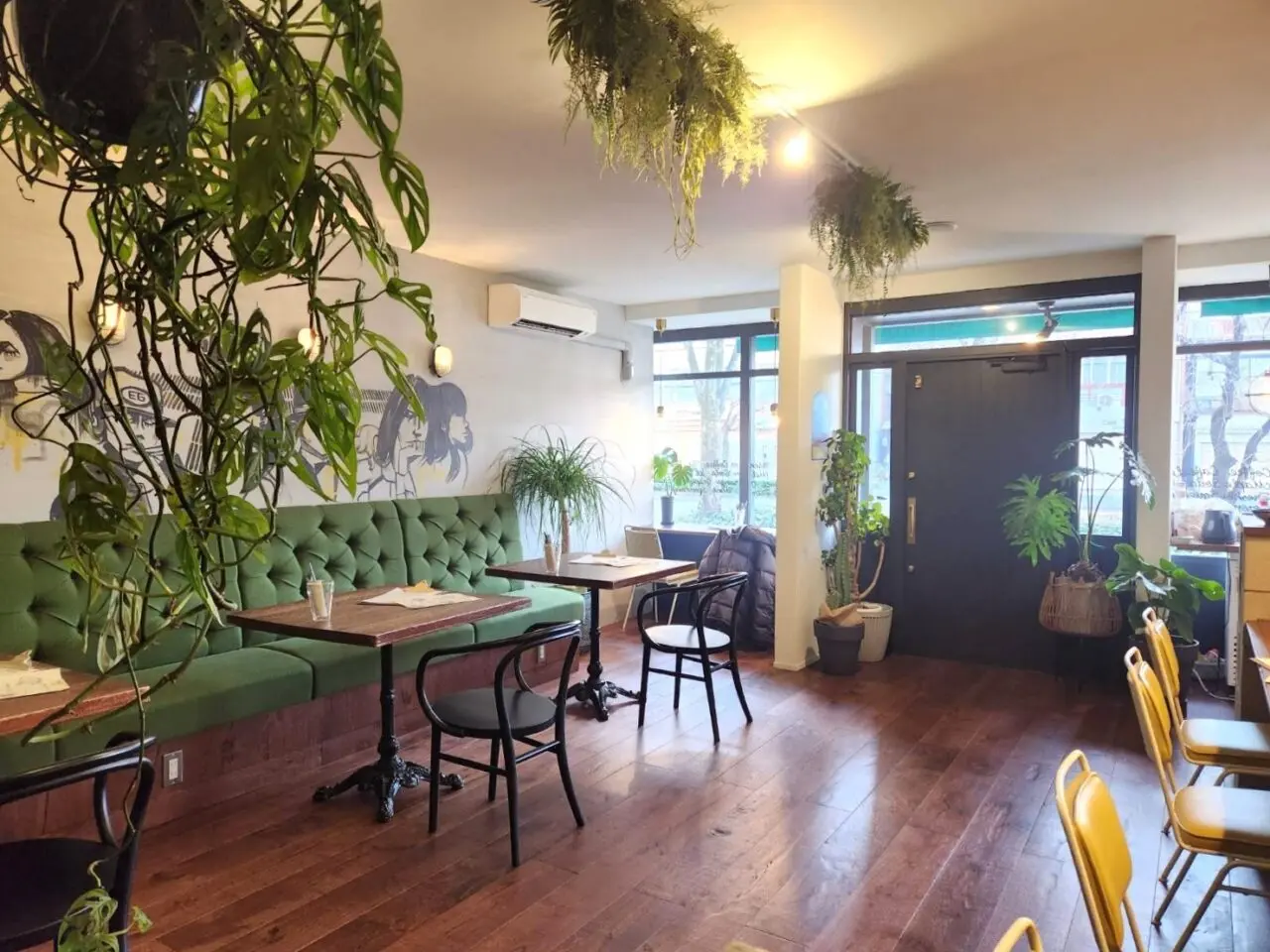 エバーグリーン