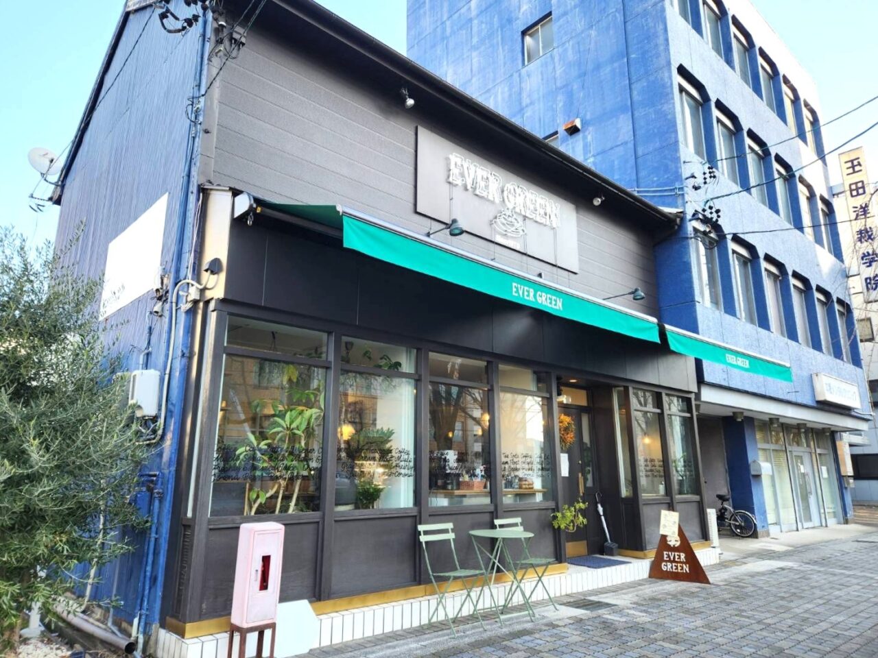 エバーグリーン