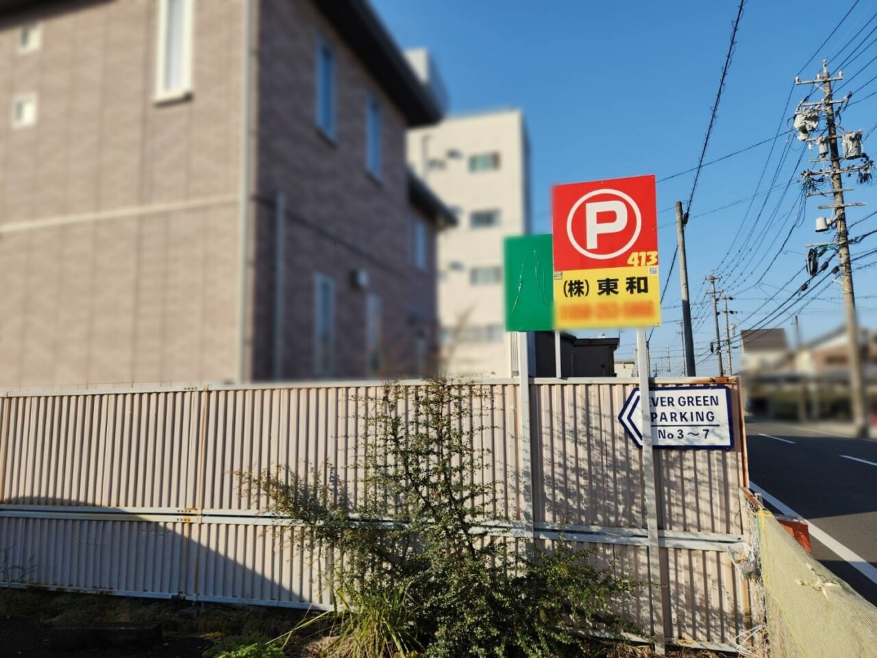 エバーグリーン