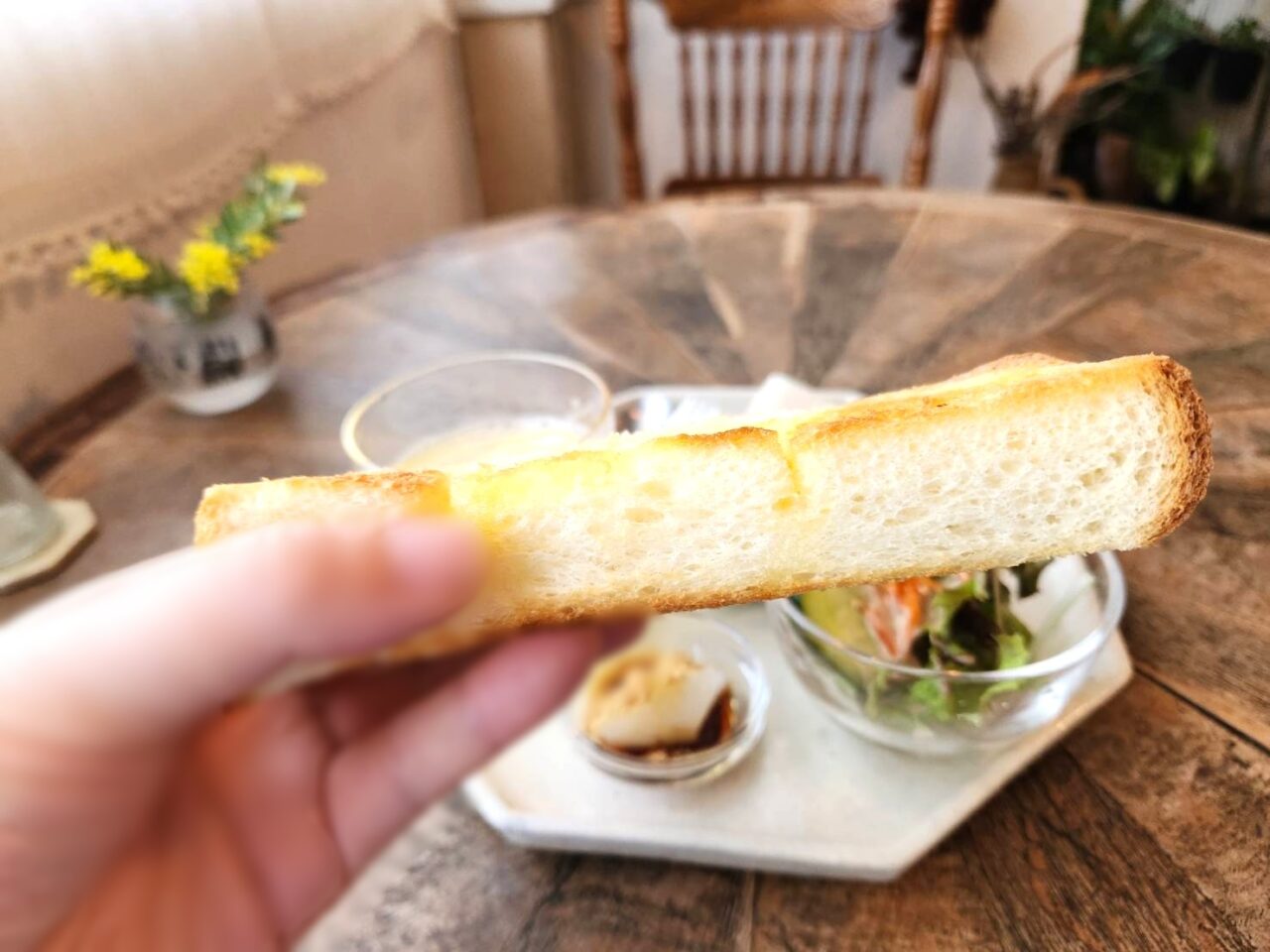 プランツカフェ
