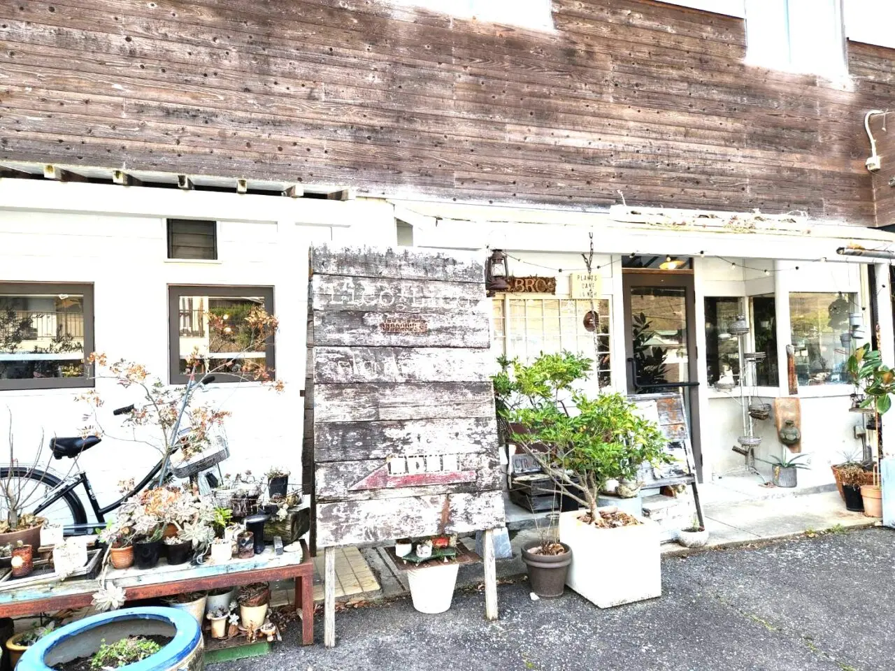 プランツカフェ