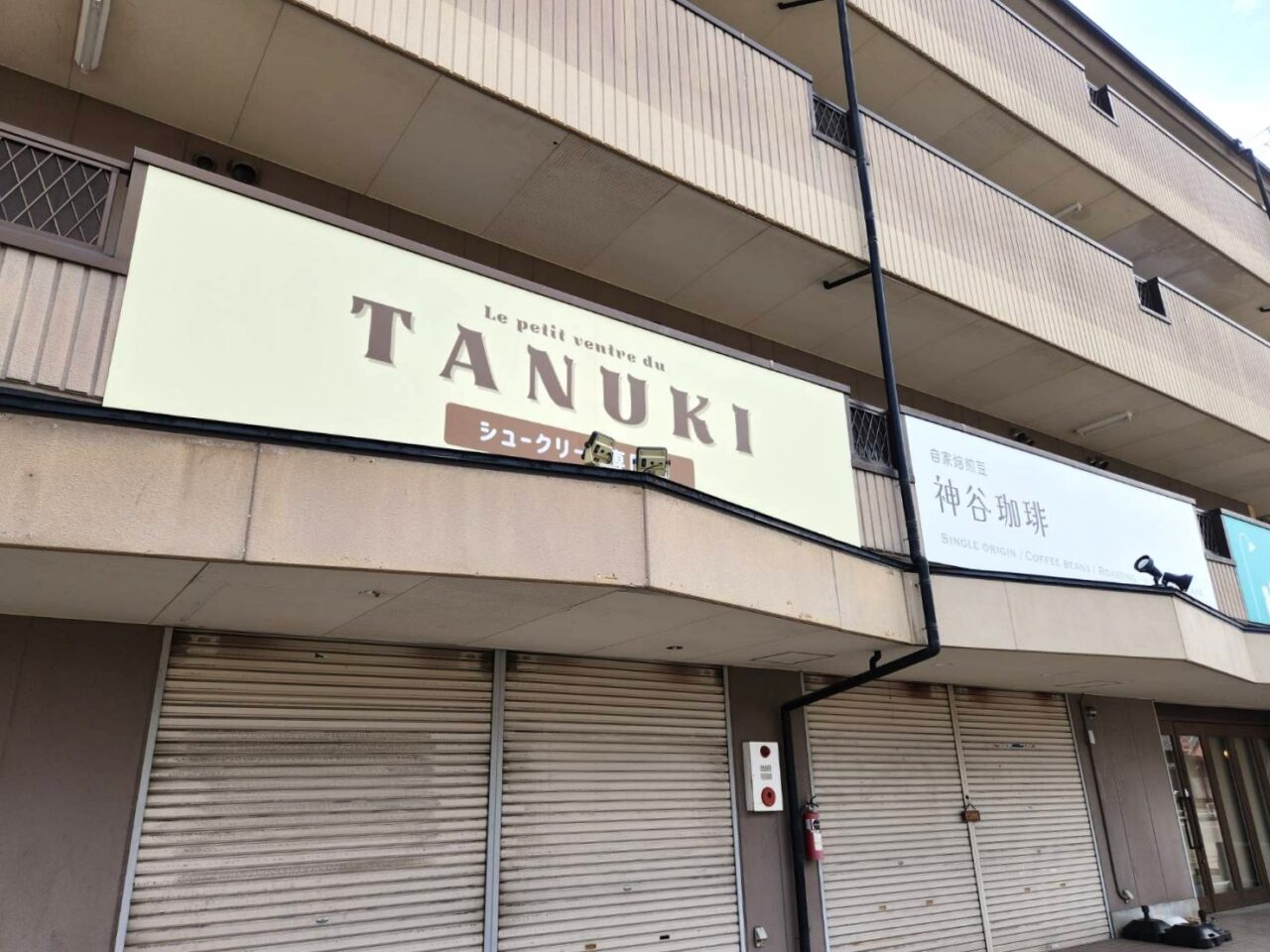 たぬき