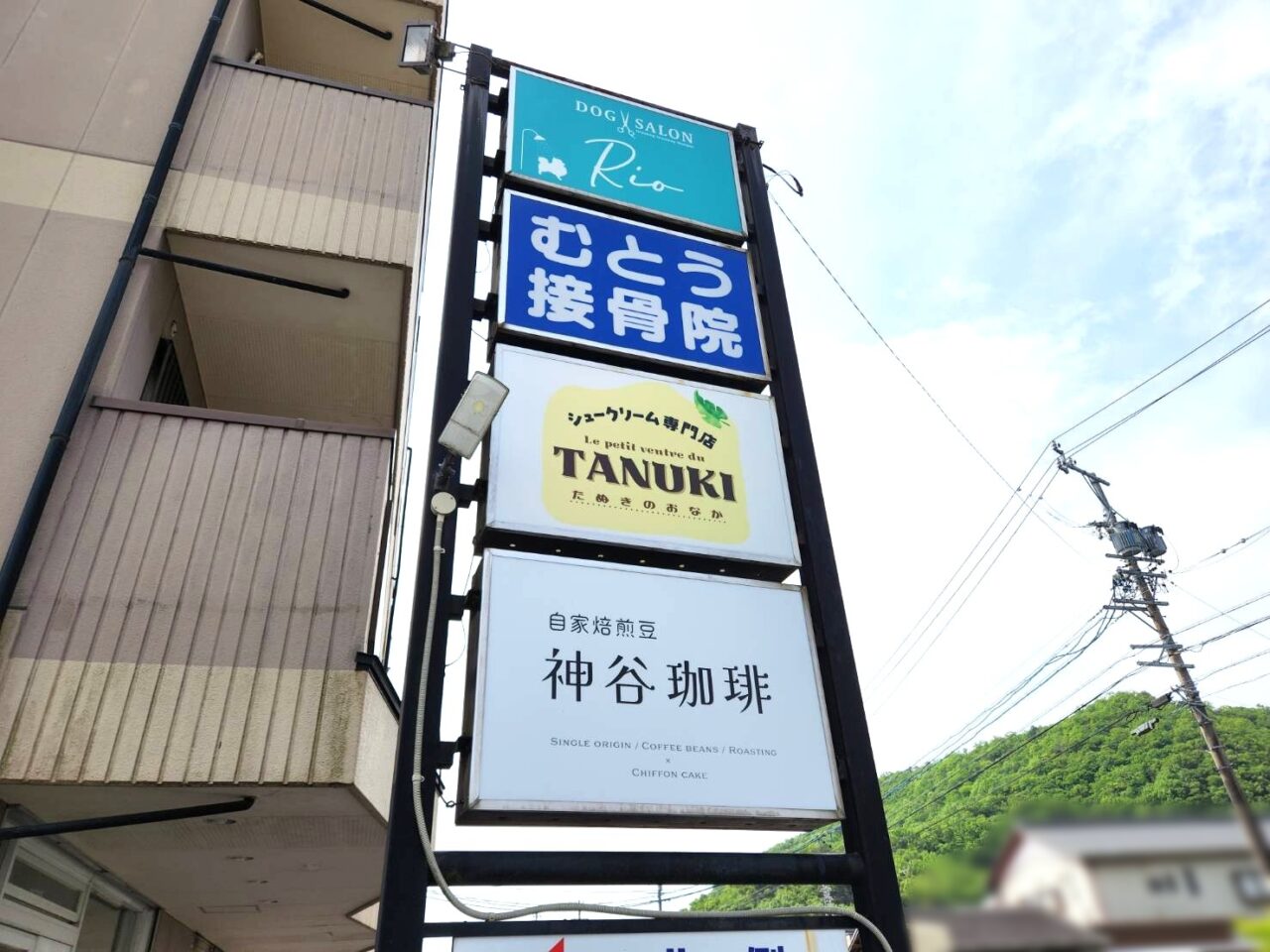 たぬき